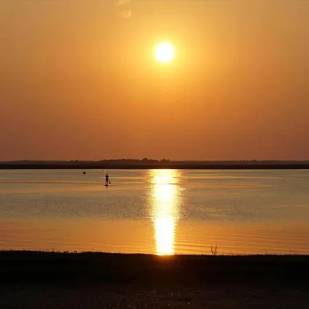 Nyaraló C11719-hemmet-vester-faelled-18 *